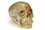 Realistic Columnar Stromatolite Skull #382217-2